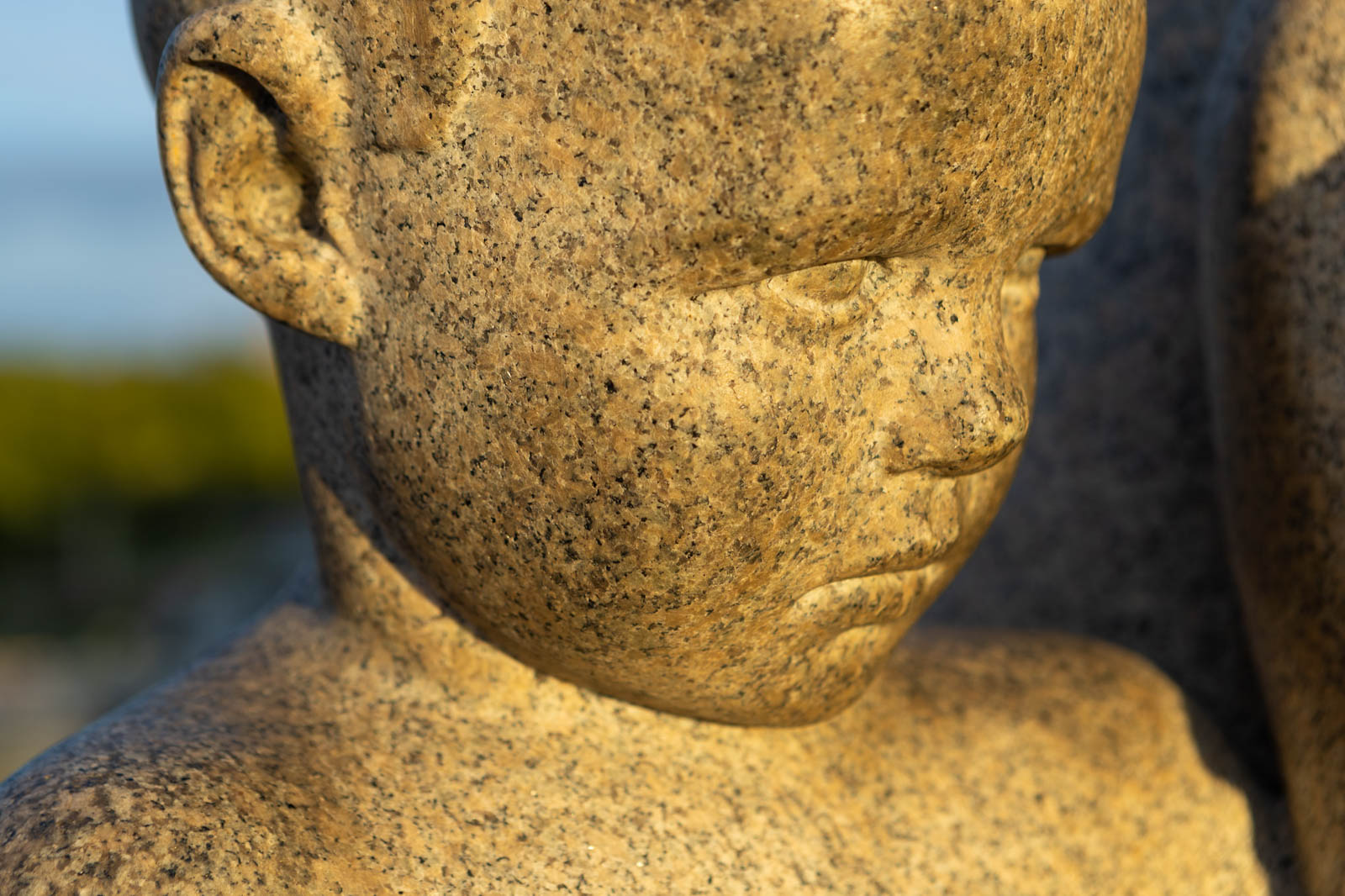 Vigelandsparkens ansikt 5